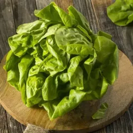 salata-maslowa-lento-05g-caloroczna-gruntowa