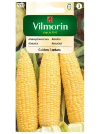 vilmorin-nasiona-kukurydza-golden-bantam-cukrowa-w-smaku-wczesna-kolba-17cm
