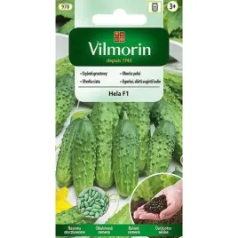 vilmorin-nasiona-ogorek-hela-f1-mieszaniec-wczesny-plenny-gruntowy-smaczny