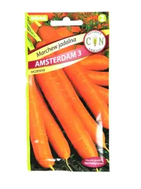 marchew-amsterdamska-marchewka-amsterdam-3-wczesna