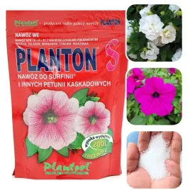 planton-s-nawoz-surfinie-petunie-surfina-petunia