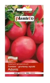 nasiona-pomidor-gruntowy-wysoki-malinowy-adonis