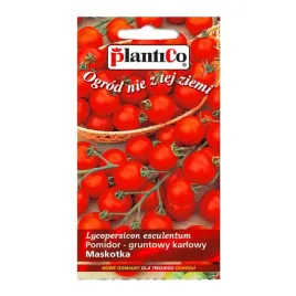 nasiona-pomidor-maskotka-koktajlowy-cherry-05g