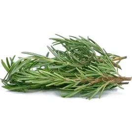 nasiona-vilmorin-rozmaryn-lekarski-01g-przyprawa