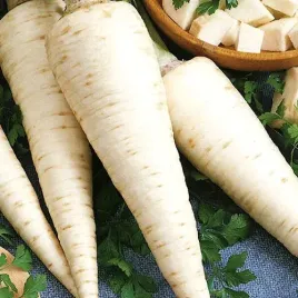 pietruszka-lenka-korzeniowa-pozna-nasiona-5g