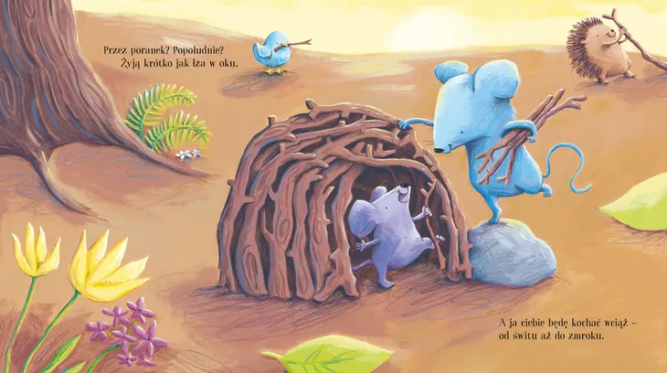 zawsze-bede-cie-kochac-tytul-zawsze-bede-cie-kochac