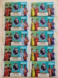 10-saszetek-panini-premier-league-2024
