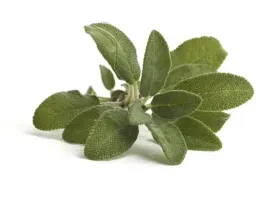 szalwia-equiherbs-ziele-500g