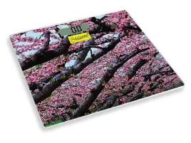 waga-lazienkowa-maestro-mr-1823