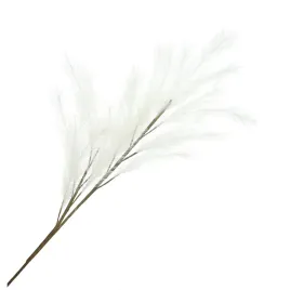 galazka-canne-sztuczna-ecru-100-cm