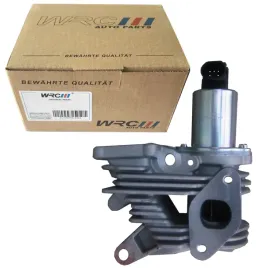 zawor-egr-renault-laguna-megane-scenic-1-9dci