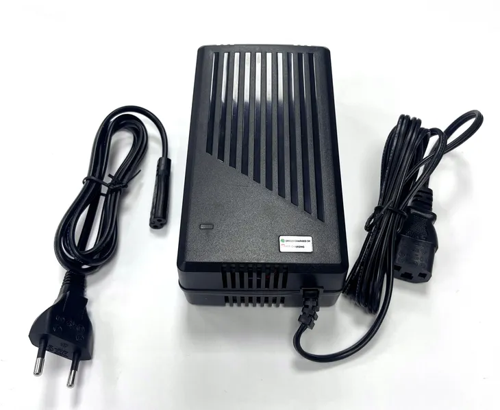 ladowarka-60v-buggy-elektryczny-2000w-marka-bashan