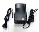 ladowarka-60v-buggy-elektryczny-2000w-marka-bashan