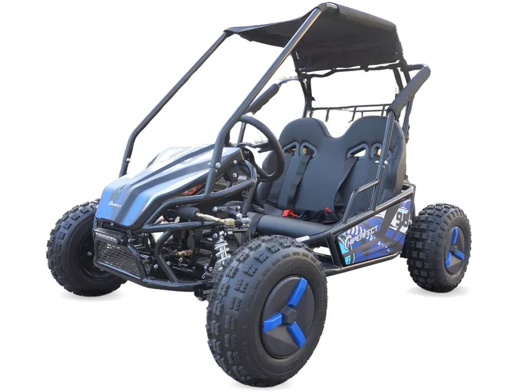 ladowarka-60v-buggy-elektryczny-2000w-stan-nowy-marka-bashan