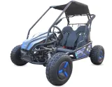 ladowarka-60v-buggy-elektryczny-2000w-stan-nowy-marka-bashan