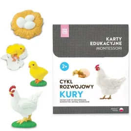 karty-montessori-cykl-rozwojowy-kury-figurki