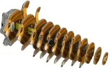 eugy-eko-ukladanka-puzzle-3d-lew-plec-chlopcy-dziewczynki