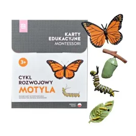 karty-montessori-cykl-rozwojowy-motyla-figurki