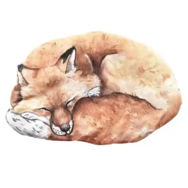 babysteps-plaska-poduszeczka-do-wozka-lisek-fox