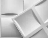 panele-scienne-kasetony-na-sufit-pled-biale-3d-kod-producenta-pled