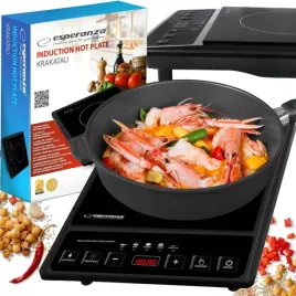 kuchenka-plyta-indukcyjna-elektryczna-2000w-230v-jednopalnikowa-przenosna