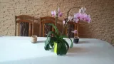 styropianowe-panele-scienne-3d-60x60-kamien-marka-inna