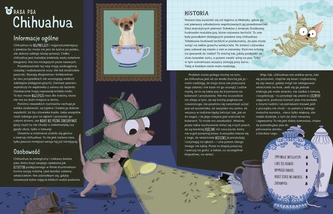 pupil-dla-mnie-stan-nowy