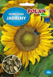 slonecznik-jadalny-paskowany-ogrodowy-nasiona-ogrone-sloneczniki-10-gram