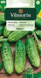 ogorek-gruntowy-regina-f1-5g-srednio-wczesny-nasiona-vilmorin-smaczny