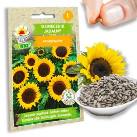 slonecznik-jadalny-10-g-paki-kwiatowe-jadalne-toraf