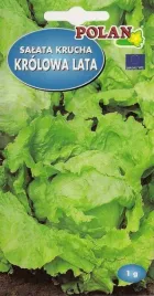 salata-krucha-krolowa-lata-do-uprawy-calorocnej-duze-glowki-1-g