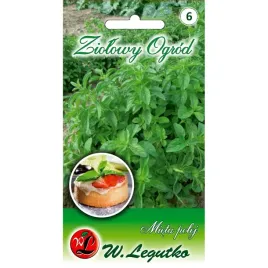 mieta-polej-wieloletnia-lecznicza-aromatyczna-drobne-listki-01-g
