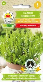 czaber-ogrodowy-naturalne-ziola-2g-nasiona-toraf-do-dan-lecznicza-korzenn