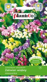 zatrwian-wrebny-mix-kolorow-odmiia-na-bukiety-suche-nasiona-plantico-02g