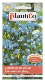 zatrwian-wrebny-niebieski-02g-plantico-na-bukiety-przyciaga-owady