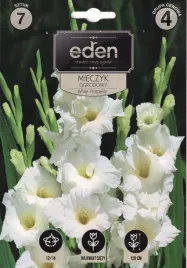 mieczyki-gladiole-7szt-white-prosperity-eden