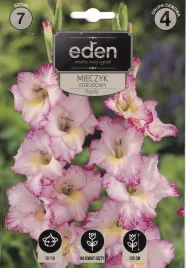 mieczyki-gladiole-7szt-priscilla-eden