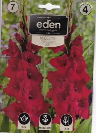 mieczyki-gladiole-7szt-oskar-eden