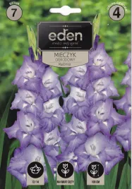 mieczyki-gladiole-7szt-madonna-eden