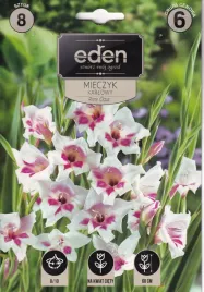 mieczyki-karlowe-prins-claus-8szt-eden