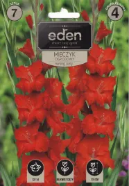 mieczyki-gladiole-7szt-hunting-song-eden