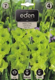 mieczyki-gladiole-7szt-green-star-eden