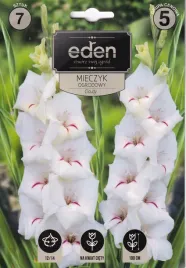 mieczyki-gladiole-7szt-claudy-eden