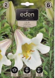 lilia-trabkowa-regale-album-2szt-eden