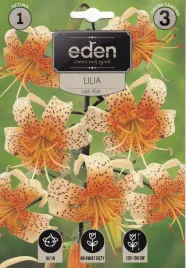 lilia-lady-alice-1szt-eden