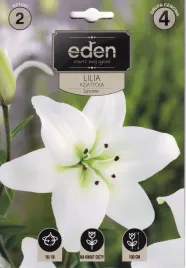 lilia-azjatycka-pelna-2szt-sancerre-eden