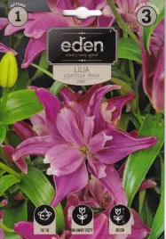 lilia-azjatycka-pelna-1szt-ceres-eden