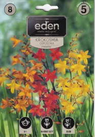 krokosmia-mieszanka-kolorow-8szt-eden