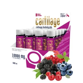 noble-pharma-cartilage-plus-hydrolizat-kolagenu-witamina-c-20-ampulek