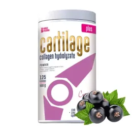 noble-pharma-cartilage-plus-500g-stawy-sciegna-wlosy-skora-paznokcie-kolana